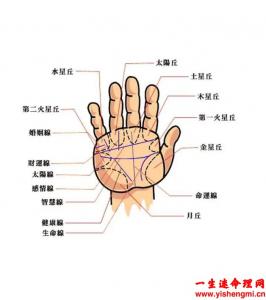 手型分为哪几种类型？手型手相怎么看