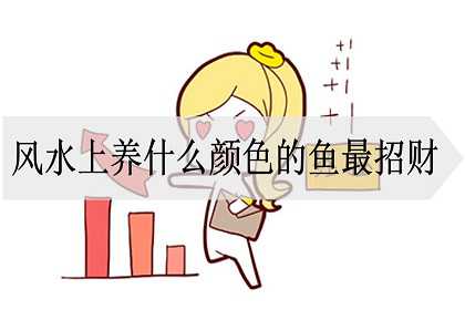 风水上养什么颜色的鱼最招财